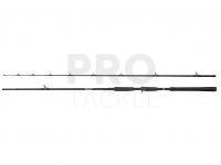 Rod Abu Garcia Beast Pike Casting 2.54m 40-140g