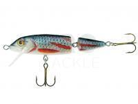 Hard Lure Jaxon Holo Select Horn 7cm 7g F - KSN