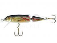 Hard Lure Jaxon Holo Select Horn 7cm 7g F - KSX