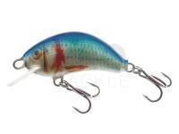Lure Kenart Hunter 5cm NRB