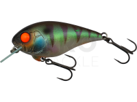 Illex MASTER CRANK 47 SR - Magic Green Perch