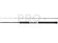 Rod Shimano Salty Advance Spinning 3.05m 10'0" Shore JIG100g 2pc