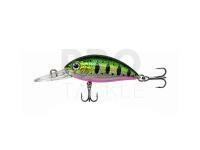 Jaxon Atract Mini XHG 3.5cm F - T
