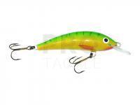 Gloog Hard lure Kalipso - sinking