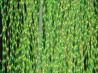 Krystal Flash - Fl. Chartreuse