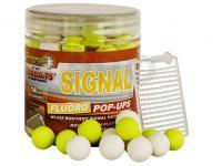 StarBaits Pop Up Concept Fluo Signal