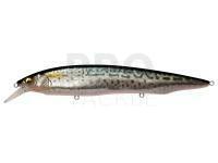 Hard lure Megabass Kanata SW 160mm 31g - FA SABA