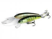 Salmo Minnow