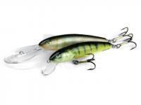 Salmo Minnow lures