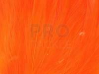 Neck Hackle Strung - orange