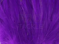 Neck Hackle Strung - purple