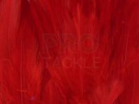 Neck Hackle Strung - red