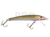 Gloog Hard lure Nike - sinking