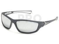 Solano Polarized Sunglasses FL 20056