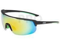 Polarized Sunglasses Jaxon - X66SML