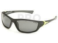Polarized Sunglasses Solano FL 20056B