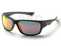 Polarised Sunglasses Solano FL 20068C