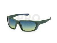 Solano Polarized Sunglasses FL 20077 - D