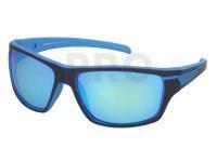 Solano Polarized Sunglasses SP 20098