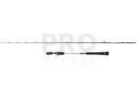 Rod Penn Prevail III Light Jigging Cast 2.04m max 120g