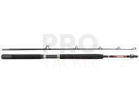Rod Penn Warfare Boat 1.80m M 30lb 2Sec Conv