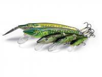 Salmo Pike lures