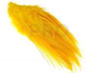Rooster Saddle Feather - Gold