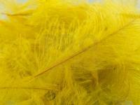 Feathers FMFly Goose CDC 1G - Dyed Pale Olive