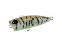 Lure Duo Tetra Works PocoPoco F | 40mm 3g | 1-5/8in 1/10oz - CTA0375 Tiger Shrimp