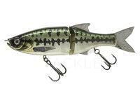 Lure Molix Glide Bait 178 Floating | 17.8cm 73g | 7 in 2.1/2 oz - 123 Baby Bass