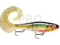 Lure Rapala X-Rap Otus 25cm - Rock n Roach