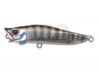 Sea lure R.A.POP 70mm 7g Floating - CKR