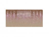 Soft bait Tiemco PDL Locoism Flexy Shad 3.5 inch | Shrimp Flavor - 226