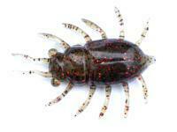 Soft Baits FishUp Maybug 1.3" #019 - Motor Oil/Red