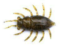 Soft Baits FishUp Maybug 1.3" #074 - Green Pumpkin Seed