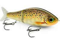 Rapala Super Shadow Rap Glide lure