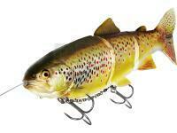 Westin Tommy the Trout Inline