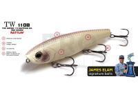 Molix Hardbaits Top Water 110 Baitfish Super Sound TW 110B