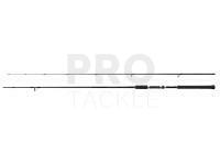 Rod Shimano Salty Advance Spinning 2.90m 60-80g