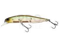 DUO Realis Jerkbait 100SP - GEA3006/DEA3006 Ghost Minnow