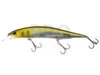 Lure DUO Realis Jerkbait 120SP - DRA3050 Half Mirror Ayu