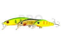 Zipbaits Rigge