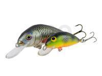 Dorado Scout