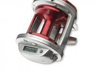 Daiwa Sealine Ishidai 40H