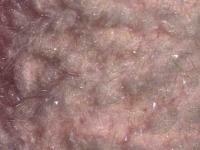 Semperfli EggStatic Egg Fritz 8mm - Powder Pink