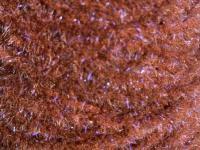 Semperfli EggStatic Egg Fritz 8mm - Rootbeer