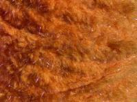 Semperfli EggStatic Egg Fritz 8mm - Tangerine