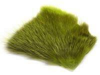 FutureFly American Opossum - BG Green