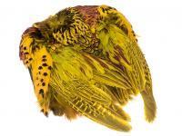 Wapsi Pheasant Skin