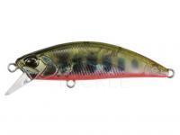 Lure DUO Spearhead Ryuki 50S Awabi - DDH4038 Yamame RB AM